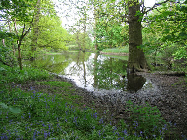 Pond, copyright Colin Hayes